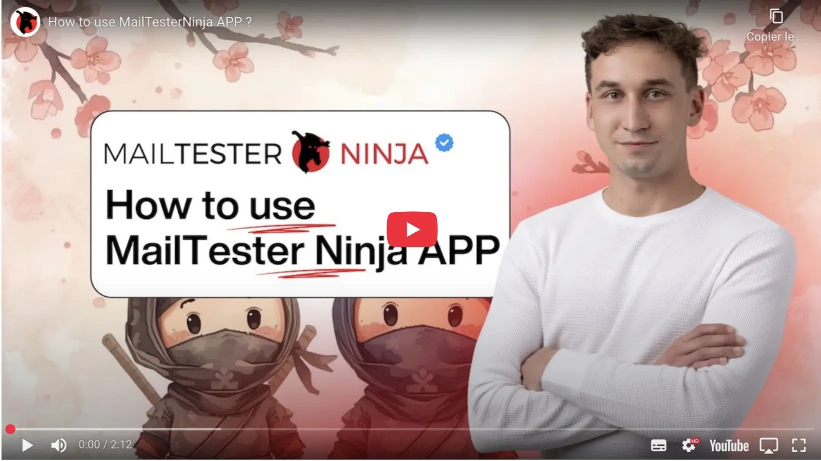 MailTester Ninja - Using the Email Verifier Desktop App